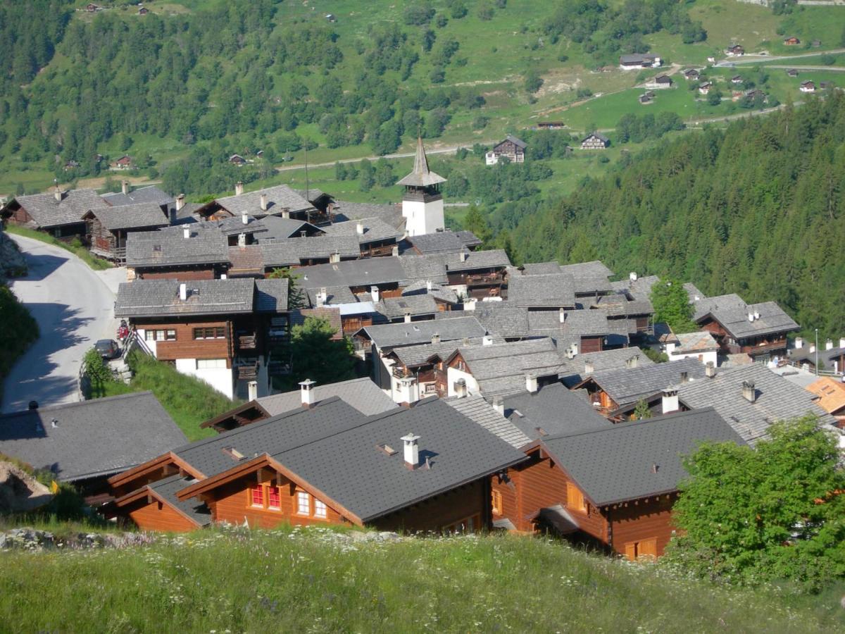 Apartment Tarcianne A Apt- 2 By Interhome Grimentz Exteriér fotografie